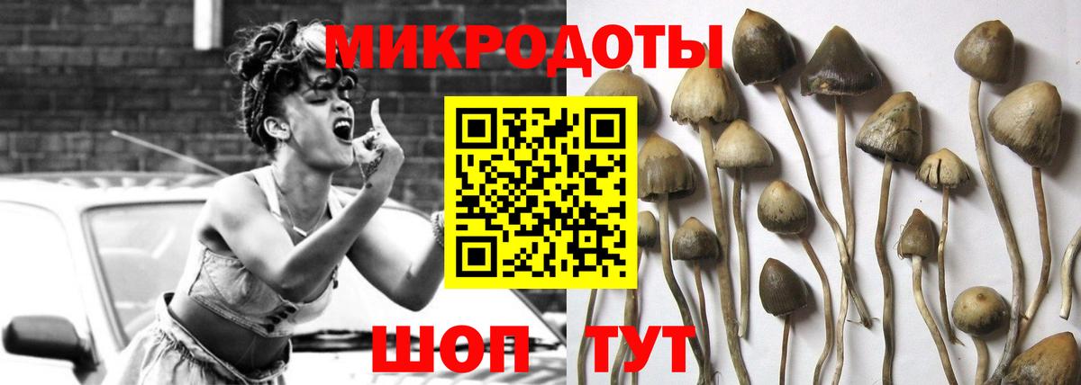 Псилоцибиновые грибы Cubensis Рубцовск